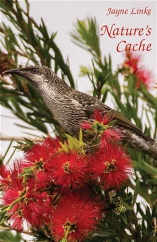 Nature's Cache, Like New Used, Free shipping in the US