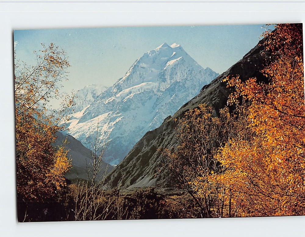 Postcard Mt. Cook From the Hermitage
