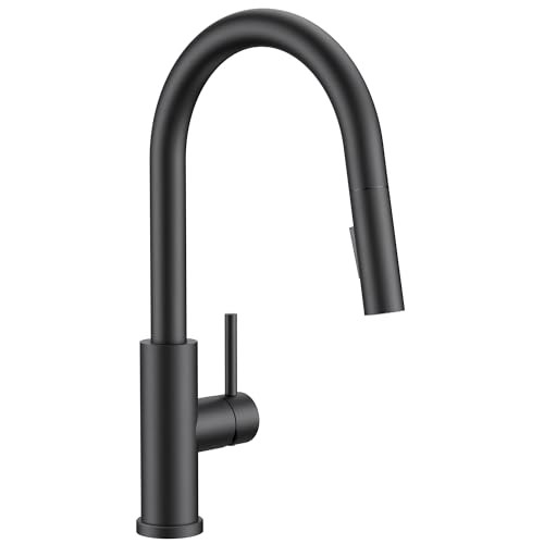 Kitchen Faucets with Pull Down Sprayer, Black Single Matte Black Classic