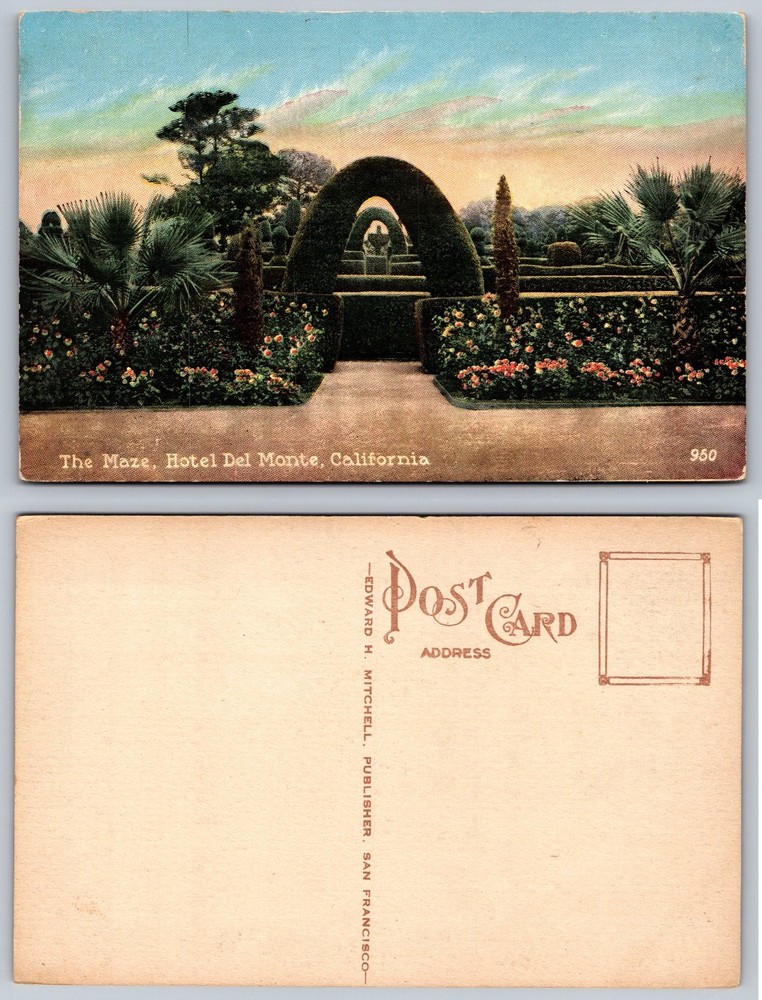 Vintage The Maze Hotel Del Monte California Postcard Edward H Mitchell