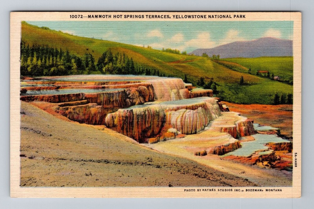 Yellowstone Natl Park WY-Wyoming, Mammoth Hot Springs, Vintage Postcard