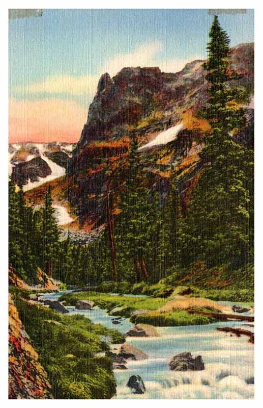 Postcard SCENE Rocky Mountain National Park Colorado CO m/09 AT9373