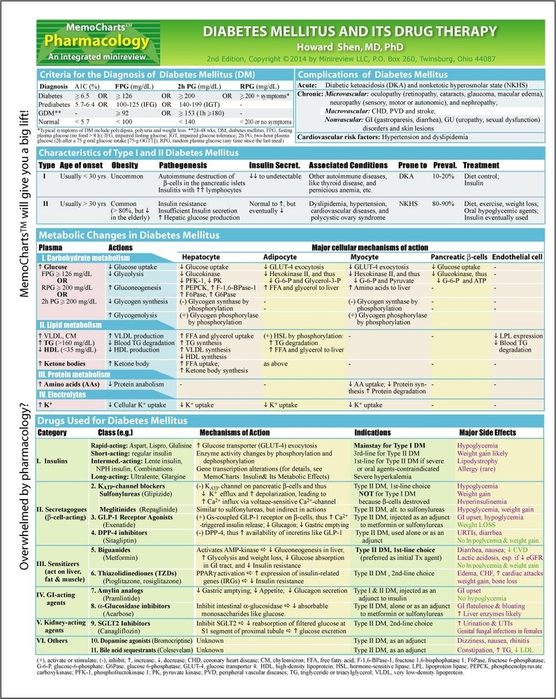 MemoCharts Pharmacology: Diabetes Mellitus and Its Drug Therapy (Review chart)