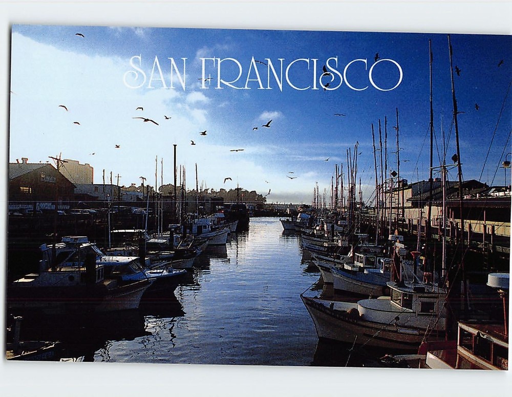 Postcard Fishing Fleet Fisherman's Wharf San Francisco California USA