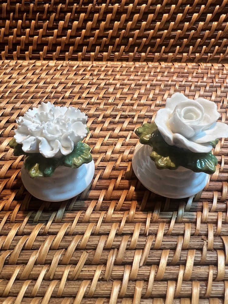 Aynsley English Fine Bone China Dainty Rose Salt & Carnation Pepper Shaker Set