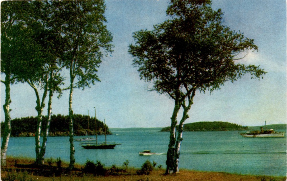 Yachts, Harbor, Bar Harbor, Maine, Stamp, OC-K255, Curteichcolor Postcard