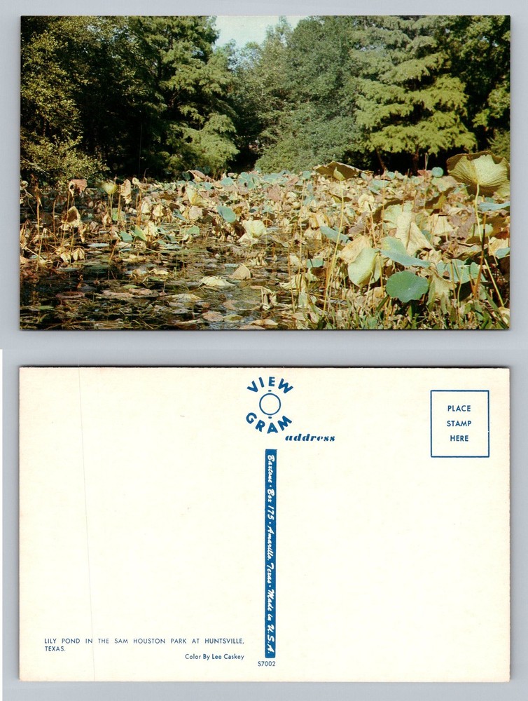 Huntsville, TX-Texas, Lily Pond Scene Sam Houston Park Vintage Postcard
