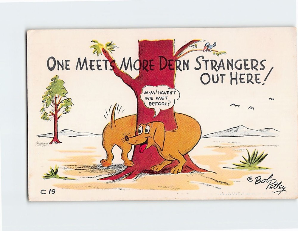 Postcard One Meets More Dern Strangers Out Here! Dog Comic Humor Card