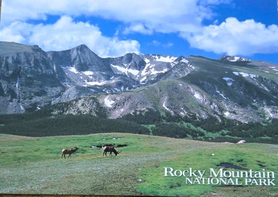 Vintage Postcard Rocky Mountain National Park Trail Ridge Road Panorama
