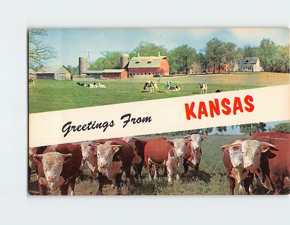 Postcard Farm Scene Greetings from Kansas USA