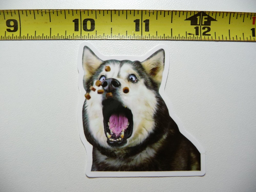 Funny Dog Decal Sticker - Too Many Treats Pet Play Furball Design