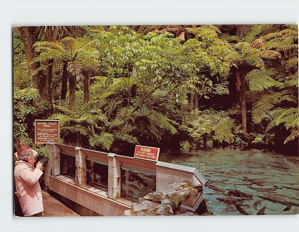 Postcard Rainbow Springs  Rotorua North Island NZ