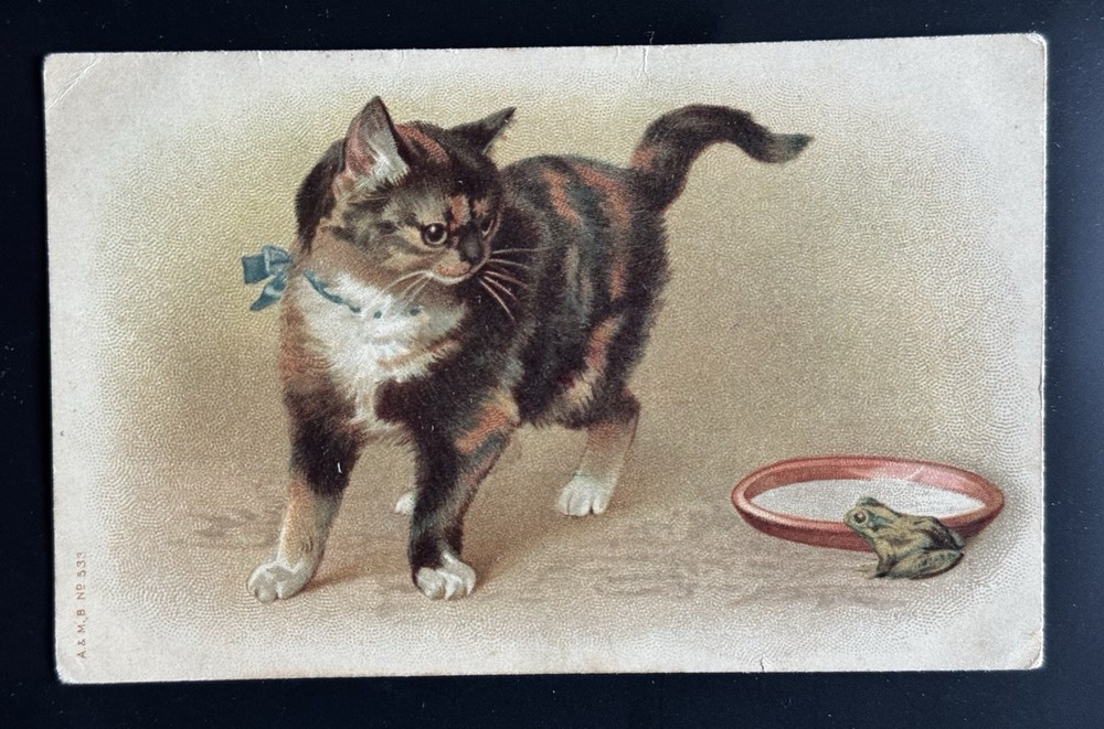 Antique Frog Cat Milk Bowl Animal Humor Postcard 1910s