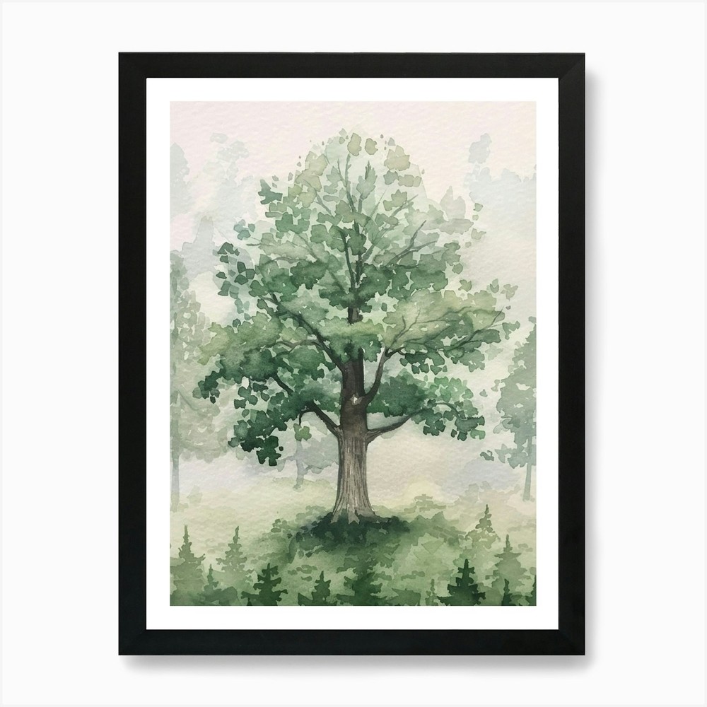 Oak Tree Watercolor Framed Wall Art Canvas Print Poster  