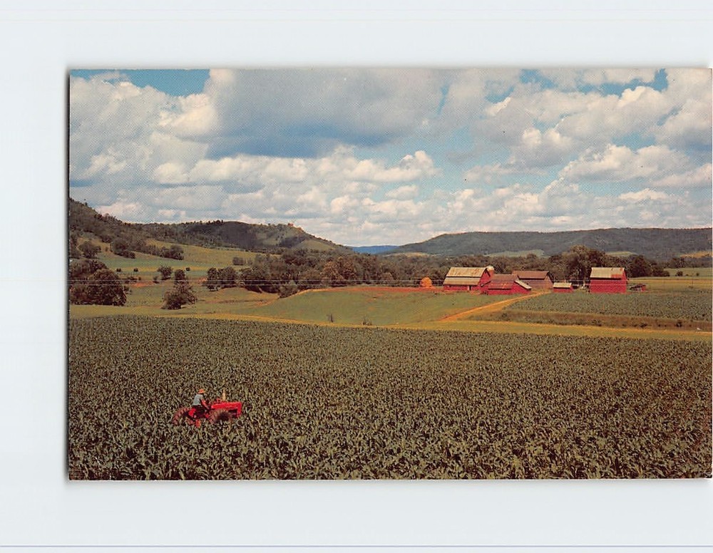 Postcard Lush Farm Land
