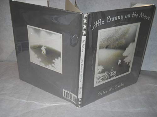 Little Bunny on the Move, McCarty, Peter