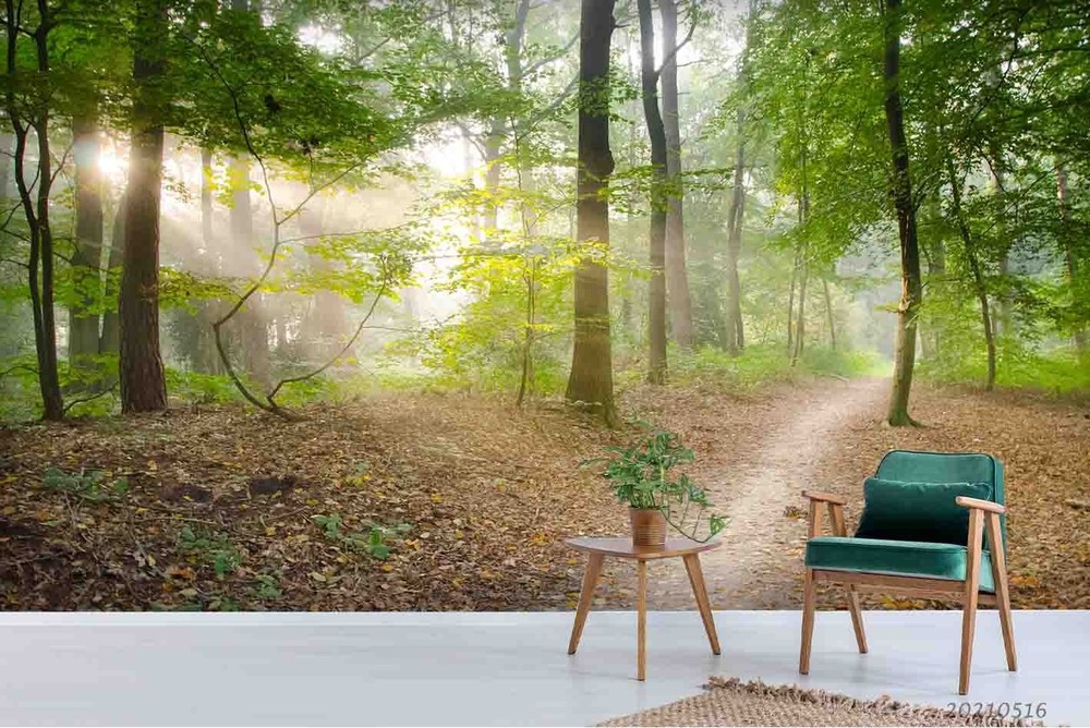 3D Forest Path Landscape Wall Murals Wallpaper Murals Wall Sticker