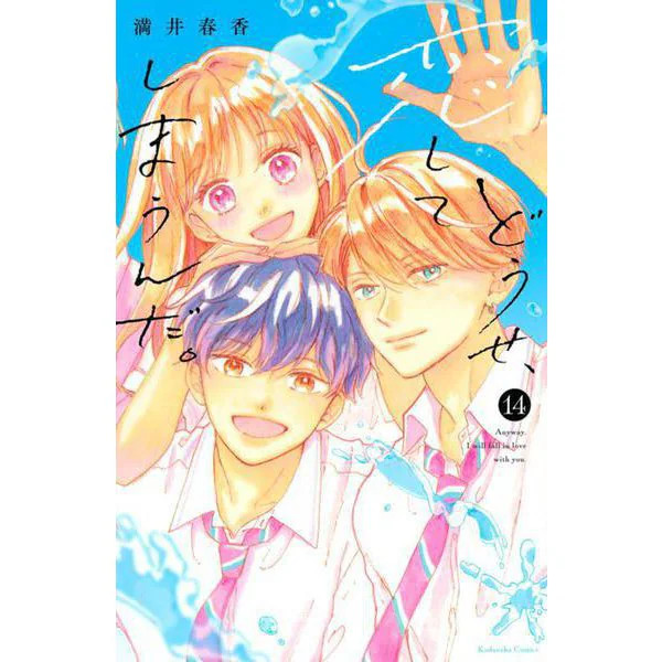 Love Anyway Comic 14 KC Deluxe Japan Import Excellent