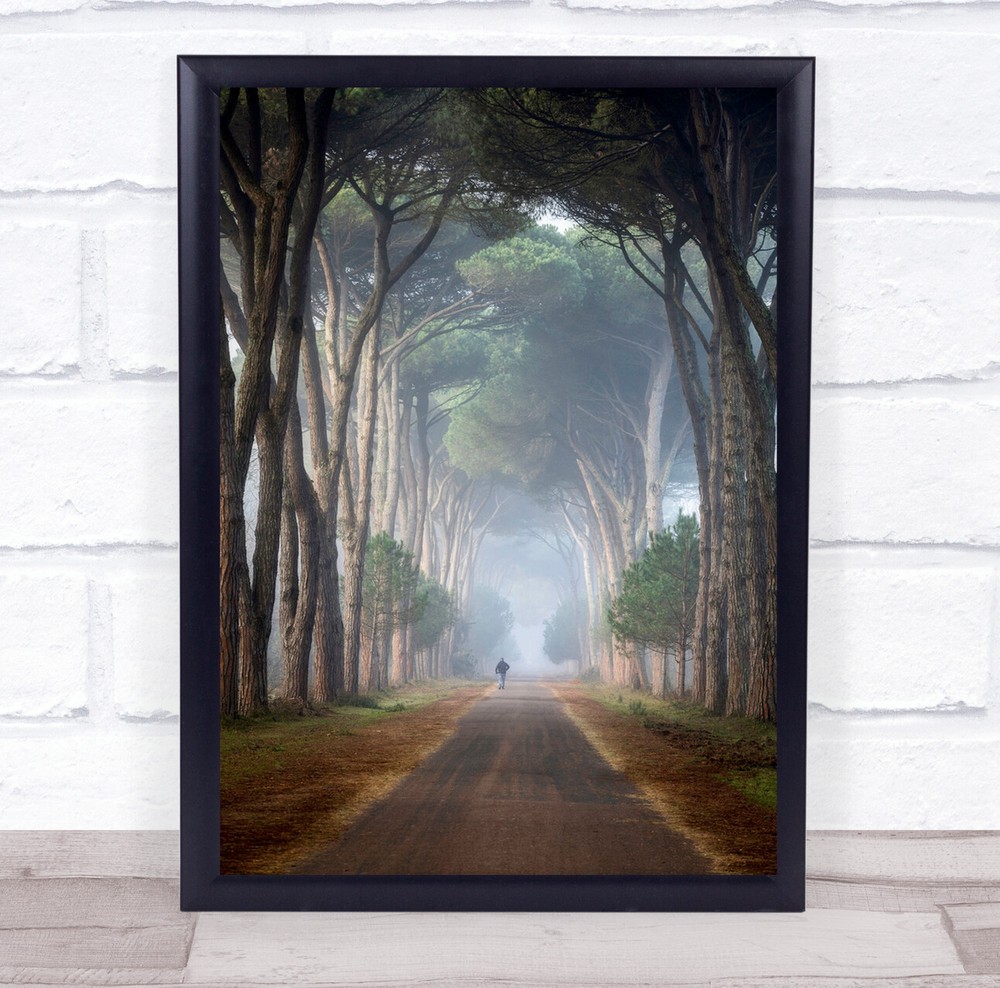 Fog Myst Street Tree Winter Cold - Loneliness Wall Art Print