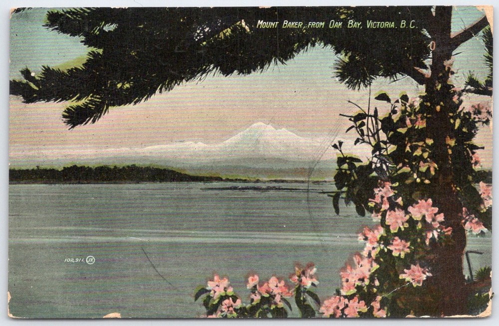 Vintage Mount Baker from Oak Bay Victoria BC Canada Postcard 1 Cent