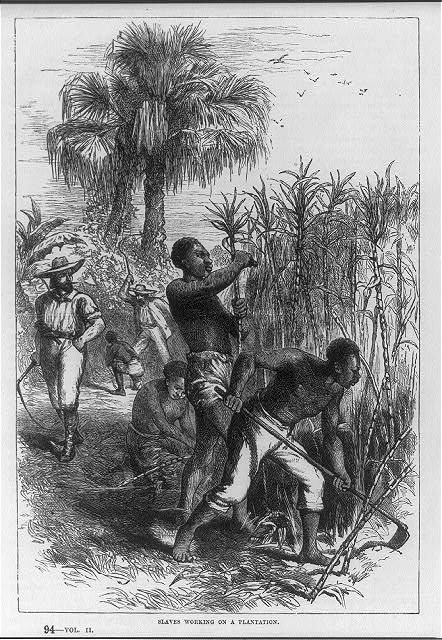Photo:Slaves working on a plantation