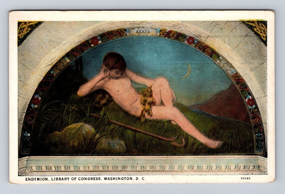 Washington DC- Endymion, Library Of Congress, Antique, Vintage Souvenir Postcard