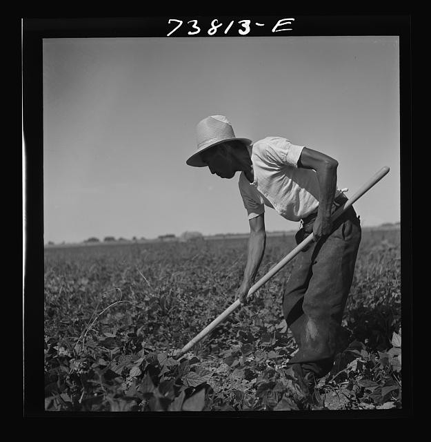 Photo:Twin Falls County Idaho Japanese Farm Worker 1942 FSA Camp