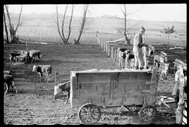 Grundy County,Iowa,IA,Farm Life,April 1940,John Vachon,Farm Security Admin,29