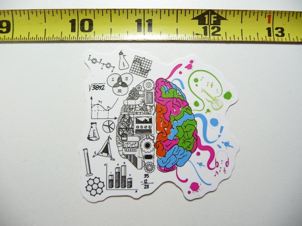 BRAIN SECTIONS CREATIVE REASON DECAL STICKER SCHOOL COLLEGE TEACH TEACHING