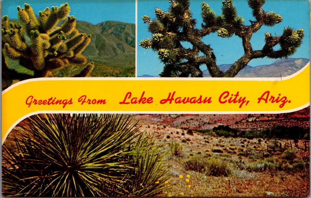 Greetings From Lake Havasu City Arizona Desert Cactus Chrome Postcard