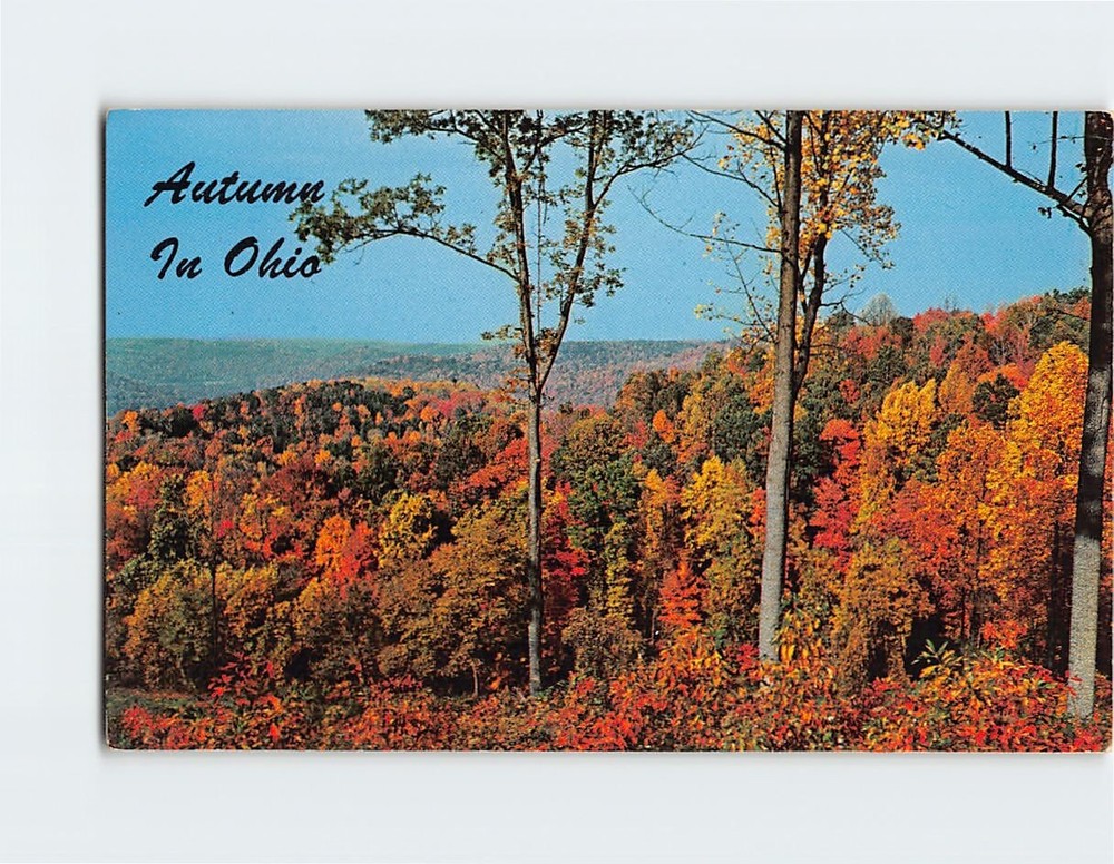 Postcard Autumn Nature Scene in Ohio USA