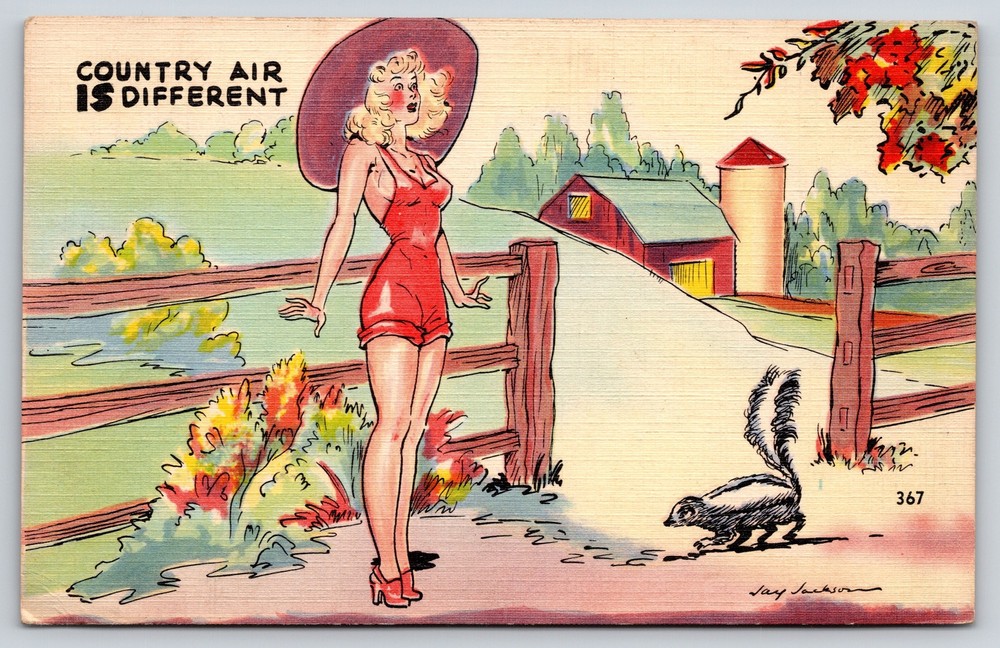 Animal~Comic~Girl Smells Country Air~Skunk~Jay Jackson Signed~Linen Postcard