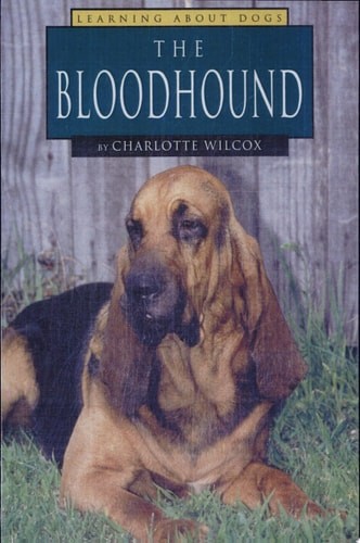The Bloodhound (Learning About Dogs) by Wilcox, Charlotte, Acceptable Book