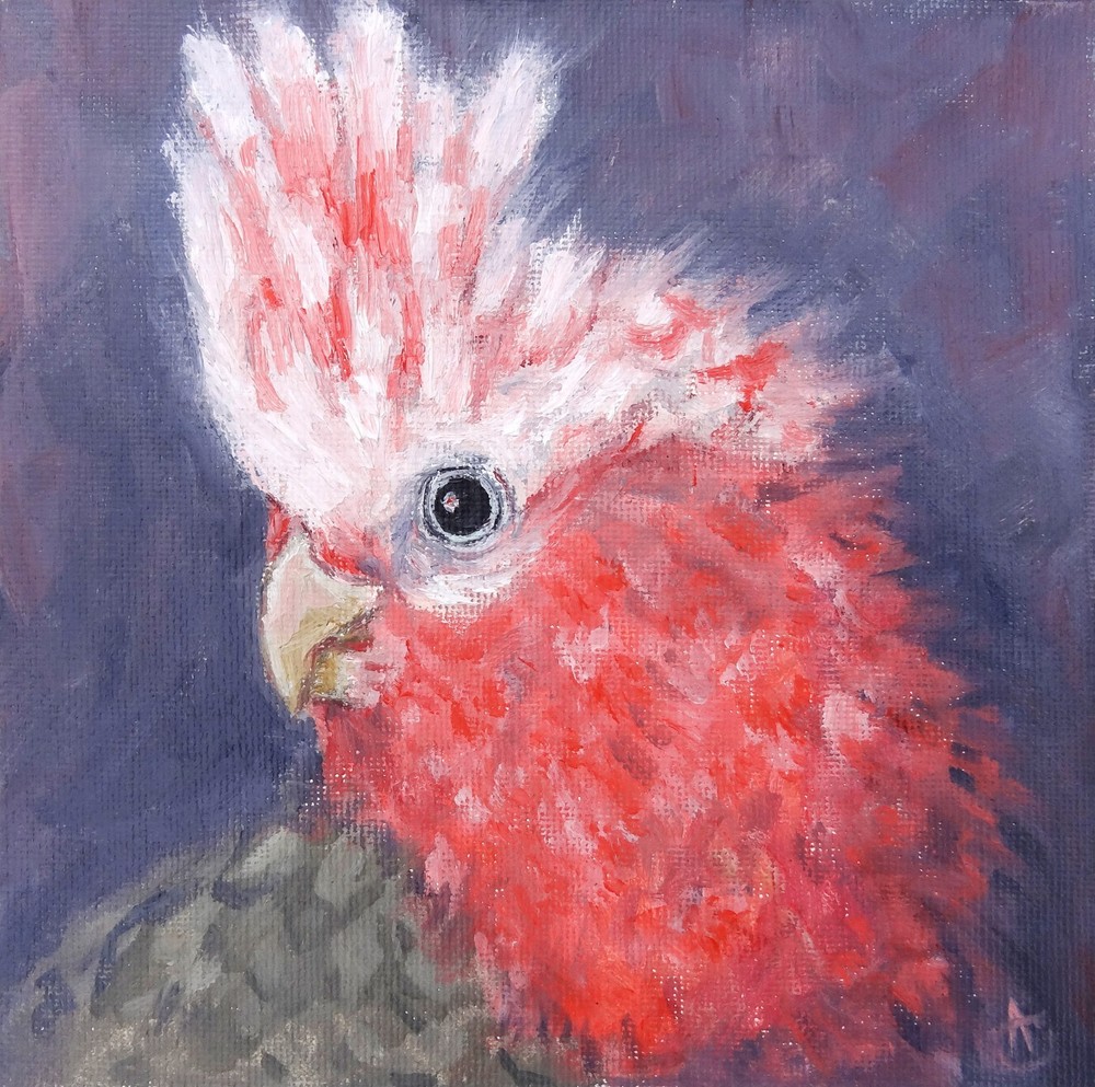 Parrot Painting Bird Original Art 6 by 6 Tropical Artwork Сockatoo Painting