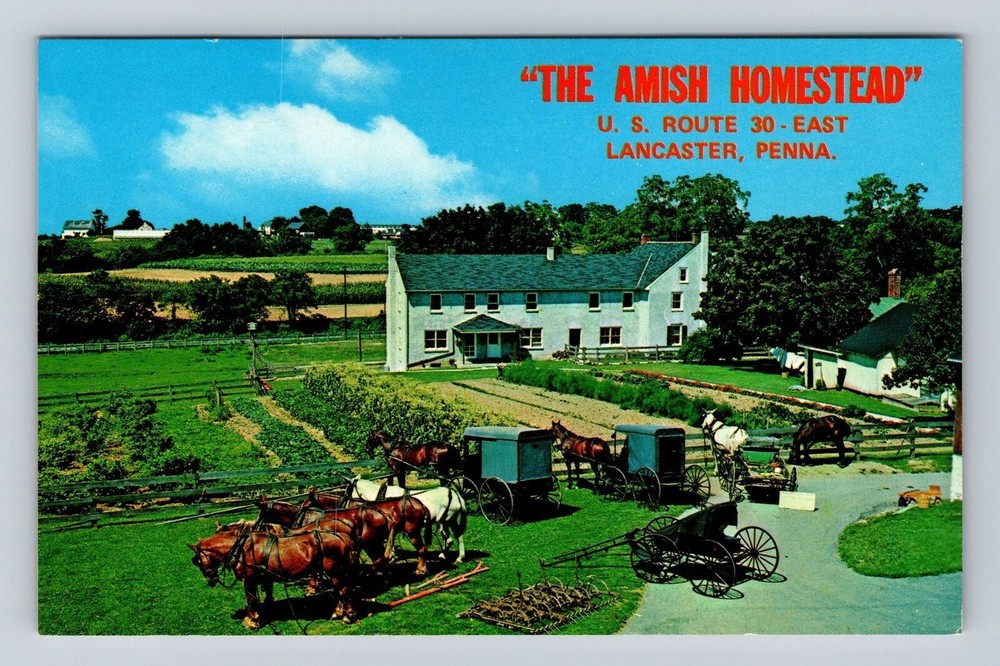 Lancaster PA-Pennsylvania, Amish Homestead, Amish Exhibit, Vintage Postcard