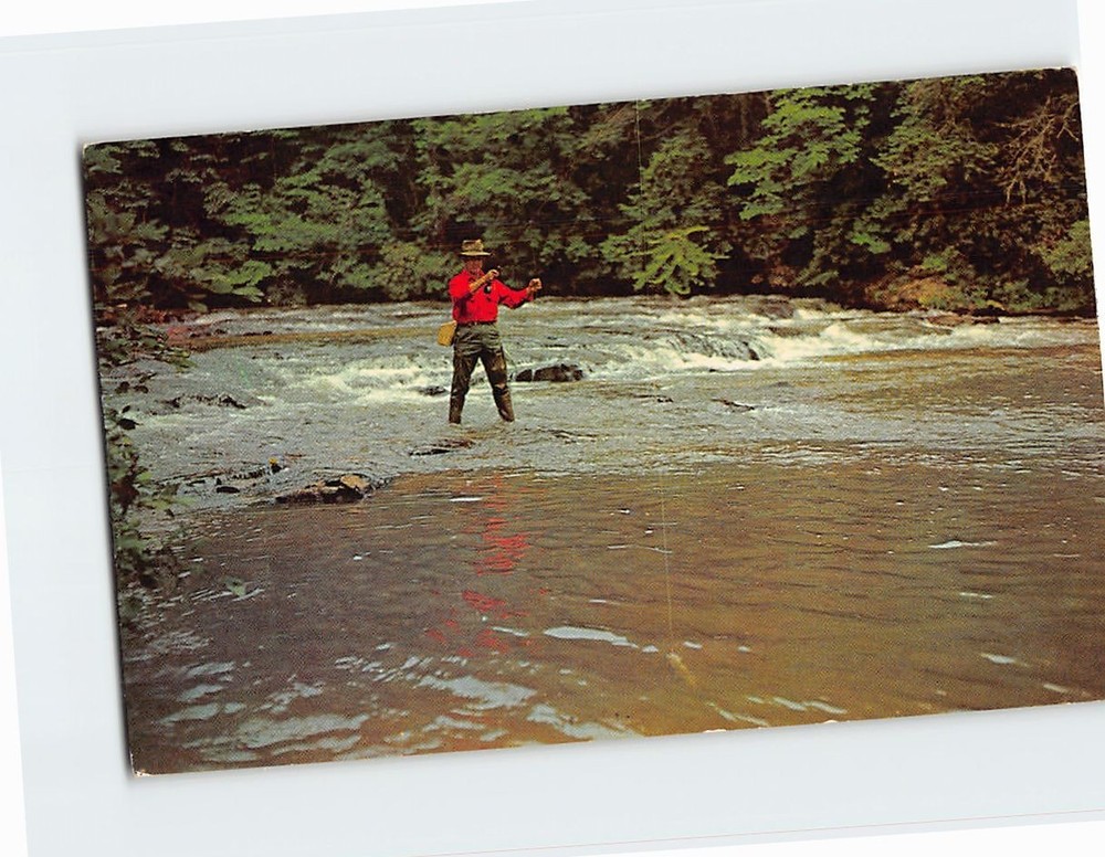 Postcard Fishing Scene by the River