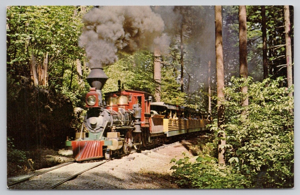 Portland OR Old Fashioned Steam Train Oregon Zoo Washington Park Postcard