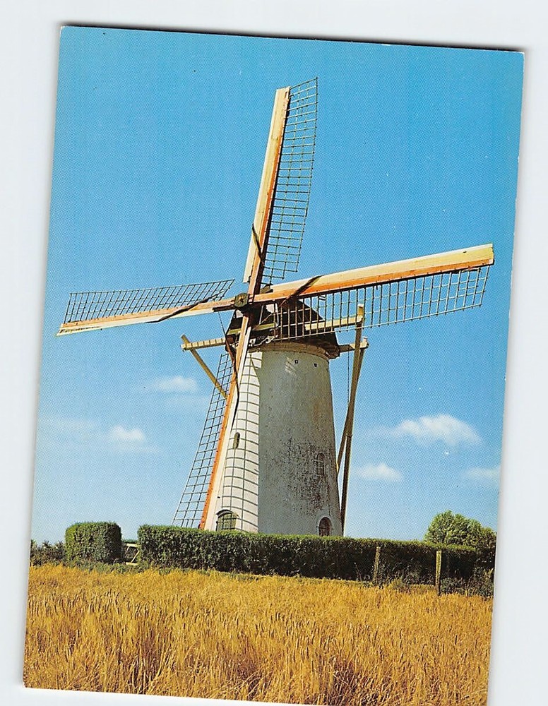 Postcard Corn Windmill Biggekerke Netherlands