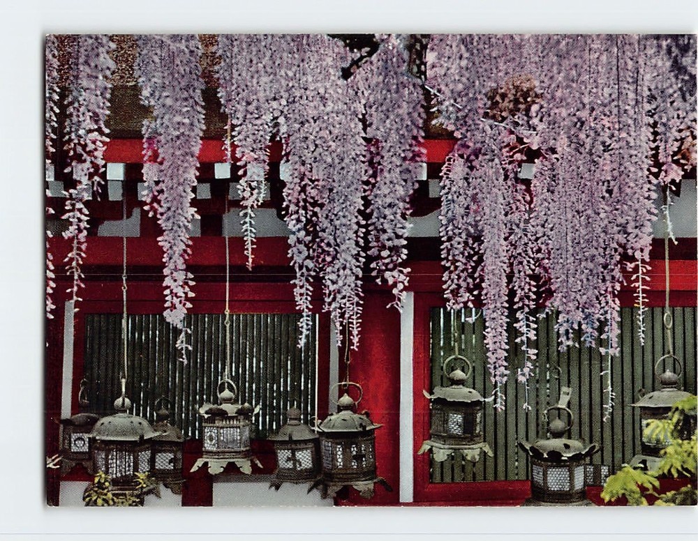 Postcard Kasuga Shrine Nara Japan
