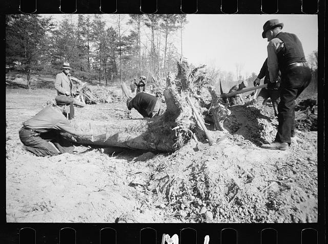 Transient workers,clearing land,axes,Greenbelt,Maryland,MD,Carl Mydans,1935 1