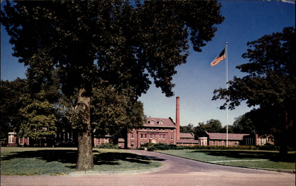 Shrine Hospital Crippled Children St Paul Minnesota flag ~ 1950-60s postcard