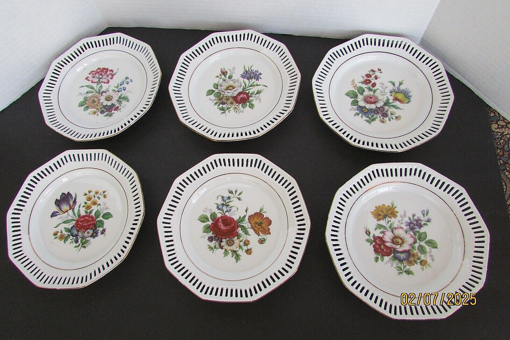 6 lot Schwarzenhammer Bavaria Plates Vintage lattice Pierced 8” Floral-w Germany