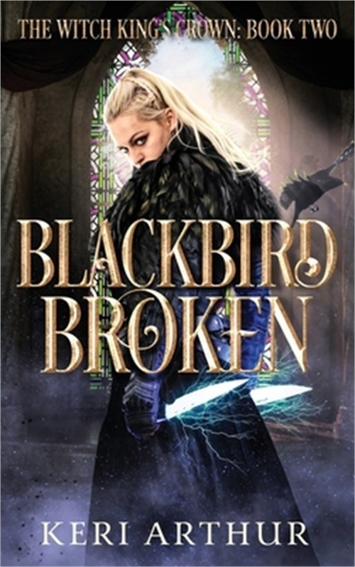 Blackbird Broken (Hardback or Cased Book)
