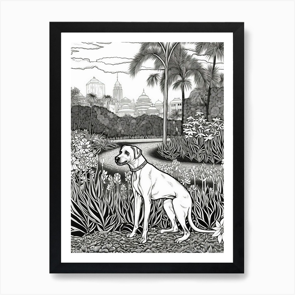 Royal Botanic Garden Dog Art Framed Canvas Print Wall Decor  