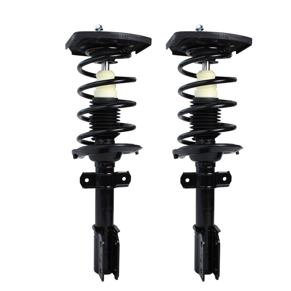 Rear Left & Right Struts Coil Spring for Pontiac Grand Prix Buick Regal Century