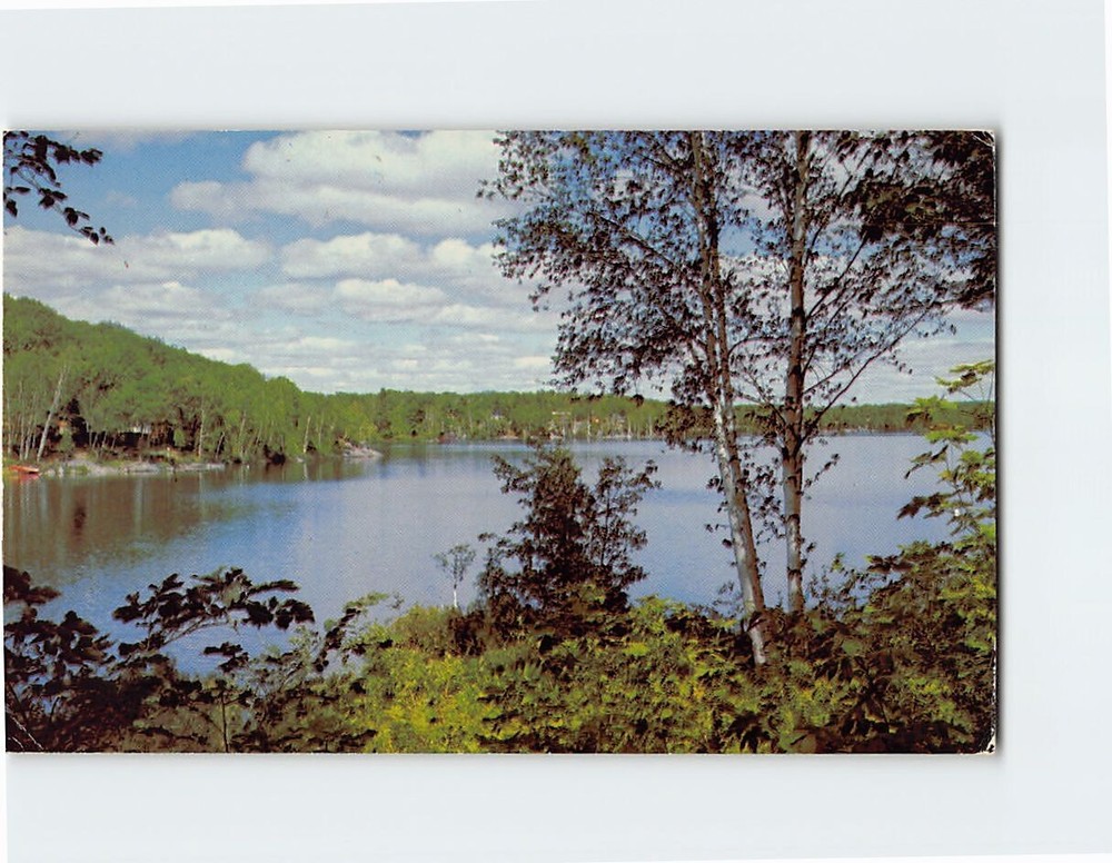 Postcard Greetings From Hastings Ontario Canada