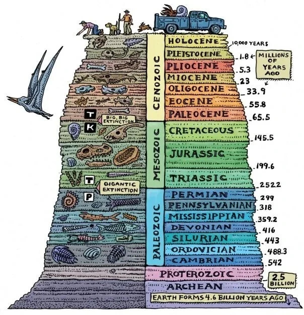 Geological Time Scale Dinosaur Poster, Classroom Kids Room Wall Decor