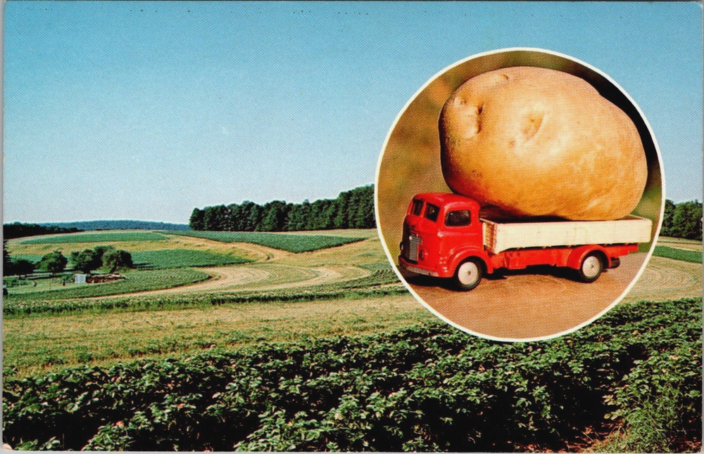 Oversize Idaho Potato on a Toy Truck, Exaggerated Postcard