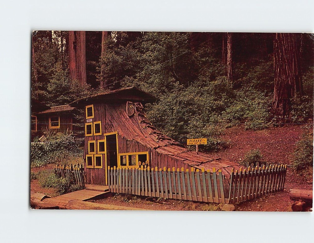 Postcard Children's Delight Redwood Highway Confusion Hill California USA