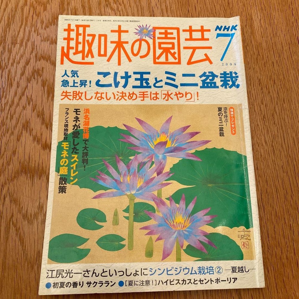 NHK Hobby Gardening July 2004 Mini Bonsai Moss Ball Care Gardening Tips